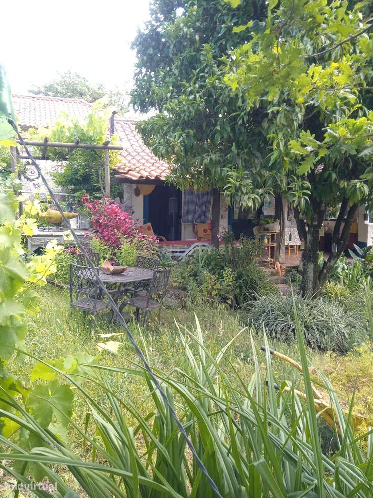 Quintinha - São Tomé de Covelas, Baião-40