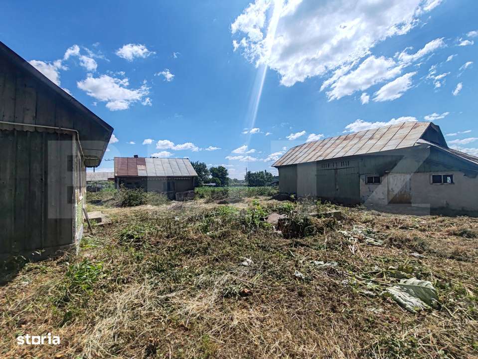 Teren 9600 mp si casa batraneasca demolabila, Dealu - Imagine principală: 2/2