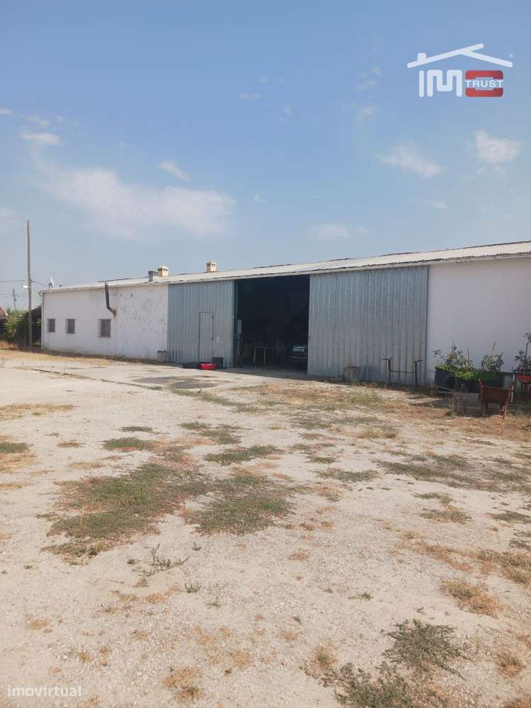 Incrível Terreno Misto 6800m2 - Pinhal Novo - Grande imagem: 5/22