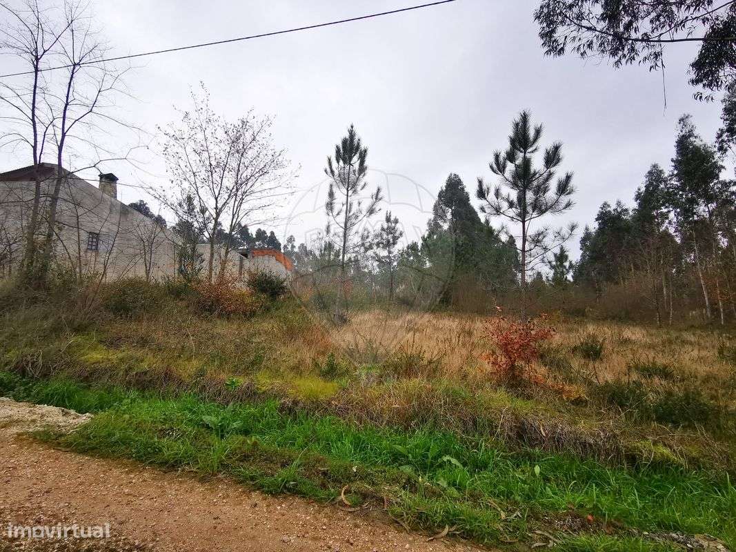 Terreno  para venda - Grande imagem: 4/6