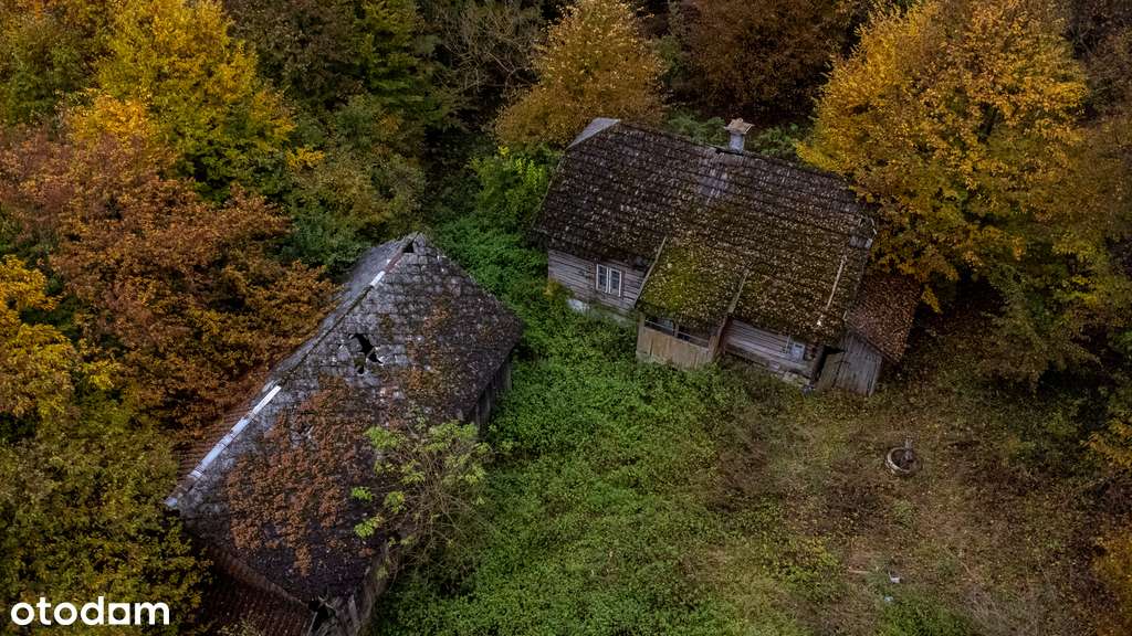 Działka z zabudowaniami | Drewniany dom - Laskówka - Pełny obrazek: 5/17