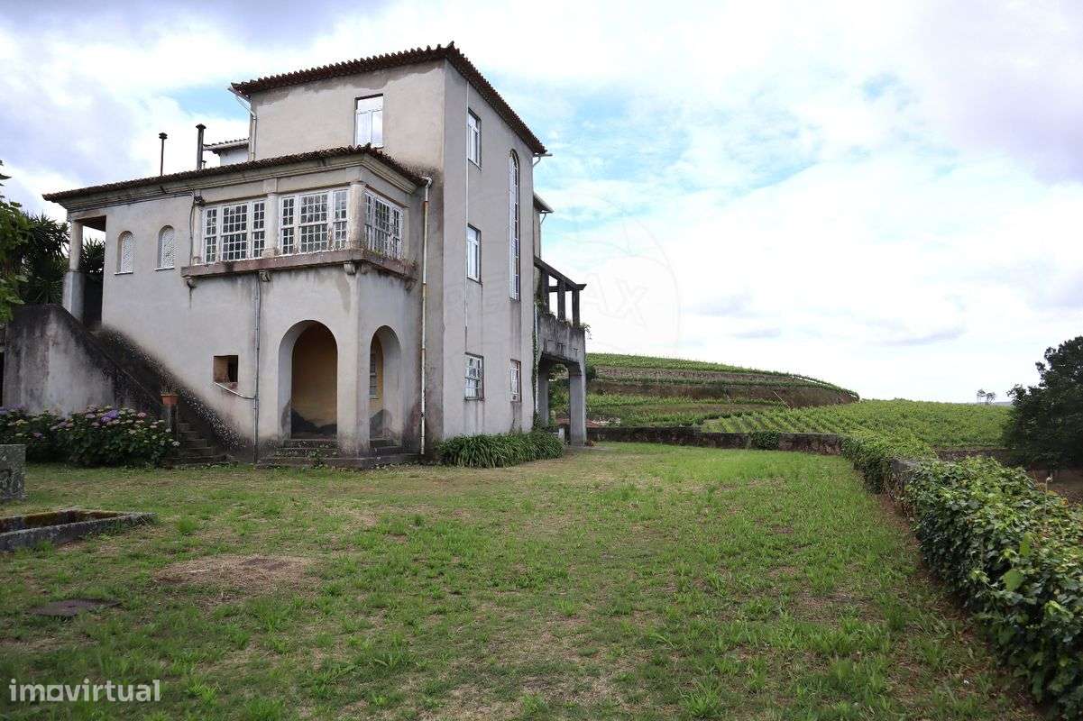 Quinta T7 para venda-30