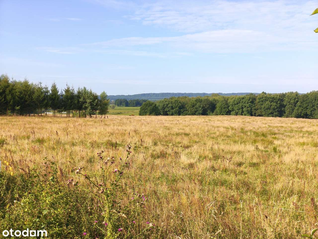 Z dala od spojrzeń sąsiadów-5