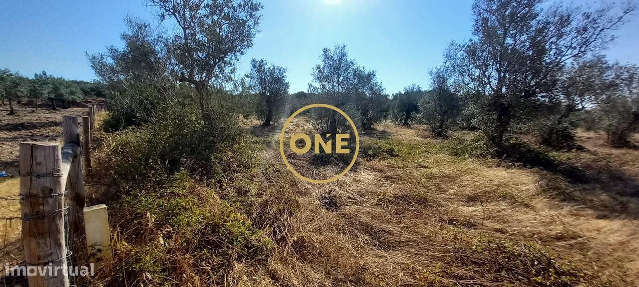 Terreno com 21.960 m2 e viabilidade construtiva | Vila Nova da Barquin-8