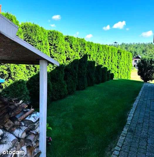 Dom parterowy |Rokitki k. Tczewa| 4 pokoje| garaż - Pełny obrazek: 3/6