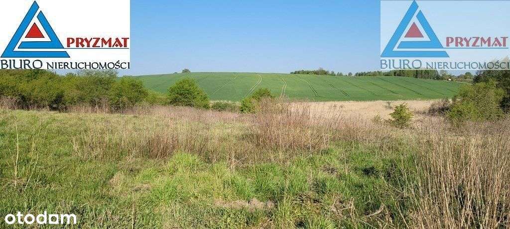 Działki Budowlane - Ul. Graniczna! - Pełny obrazek: 4/6