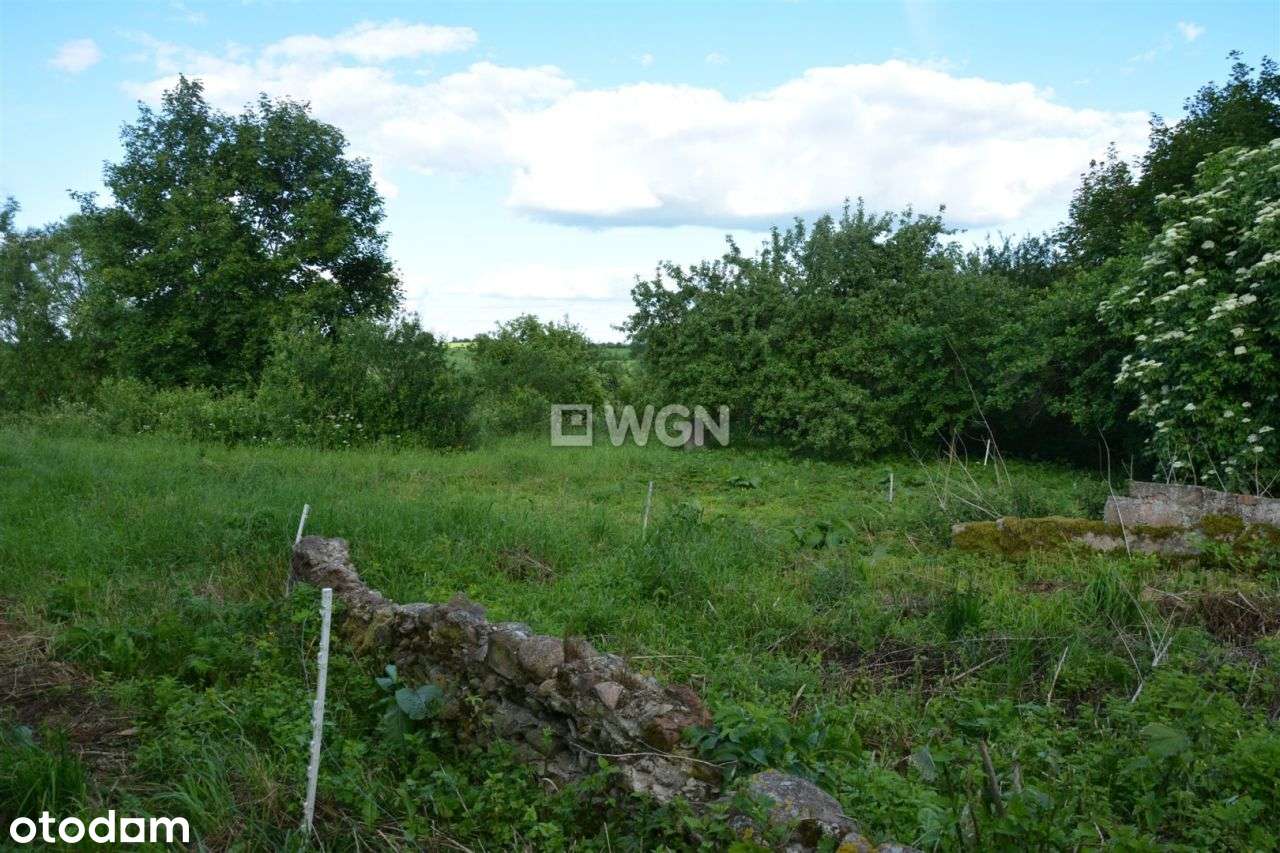 Działka atrakcyjna z budynkami - Pełny obrazek: 4/5