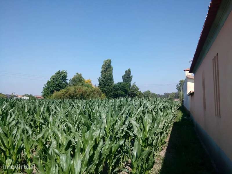 Terreno com viabilidade construtiva em Estarreja - Grande imagem: 5/7