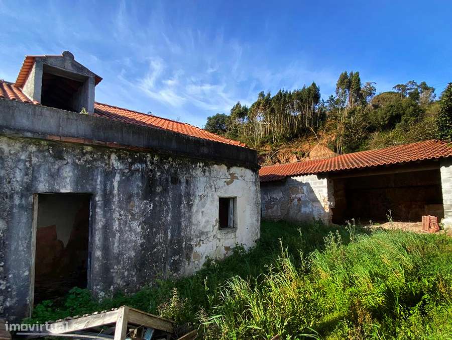 Adega e anexos para recuperar, com logradouro, a 10 min de C da Rainha-13