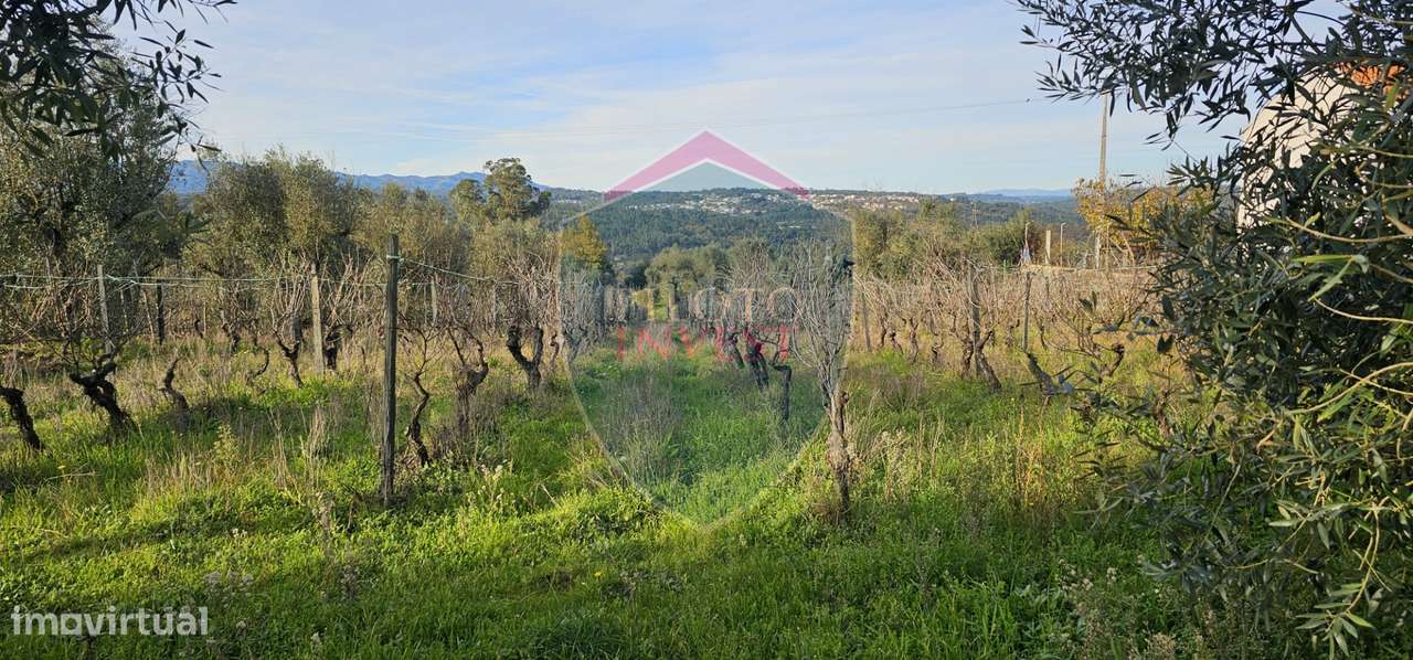 Terreno Para Construção  Venda em Silgueiros,Viseu - Grande imagem: 2/13
