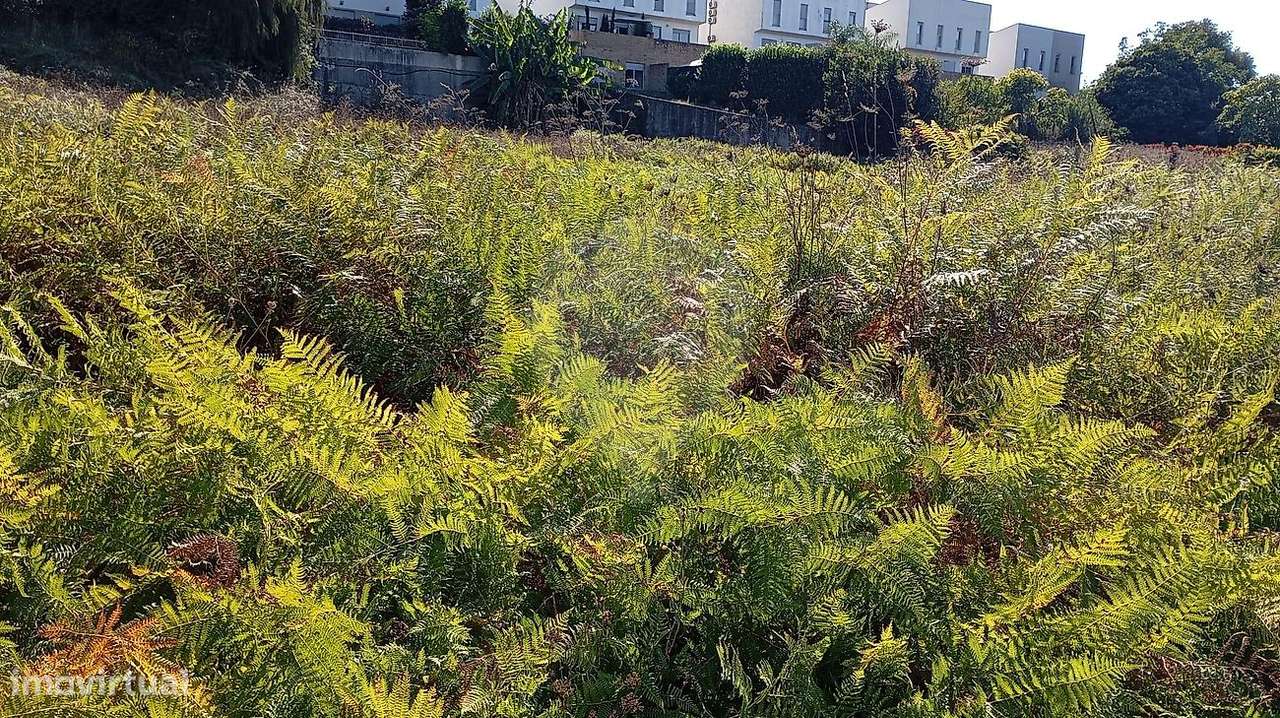 Terreno  para venda - Grande imagem: 5/5