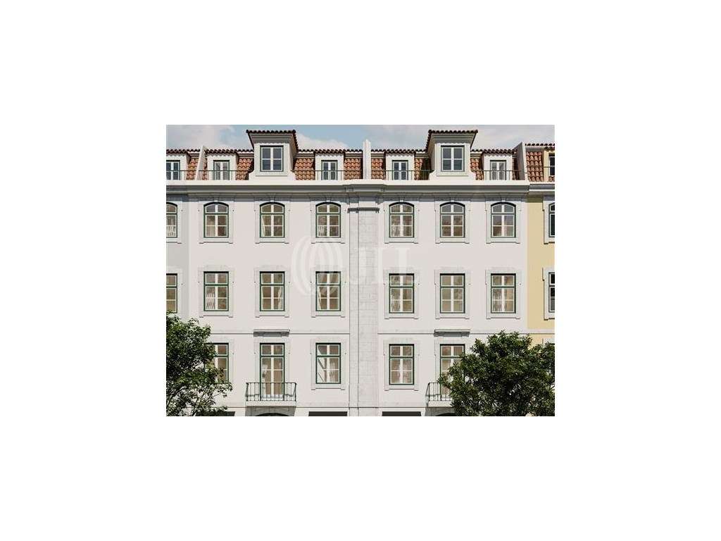 Rossio 85 - Grande imagem: 1/11