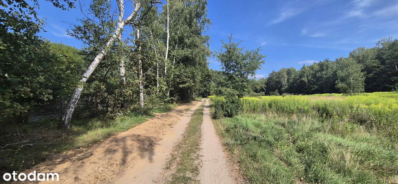 Działka budowlana na sprzedaż, 1,376 ha, media, asfalt, PRZY LESIE - Pełny obrazek: 5/5