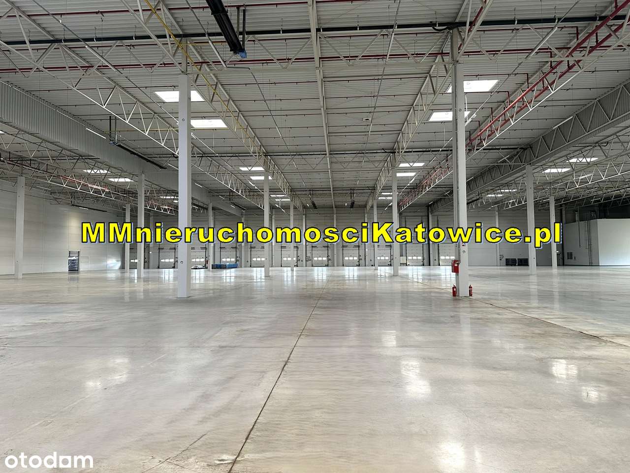 Magazyny hale wynajem Ruda Śląska - Klasa A - przy A4 - BEZ PROWIZJI! - Pełny obrazek: 4/20