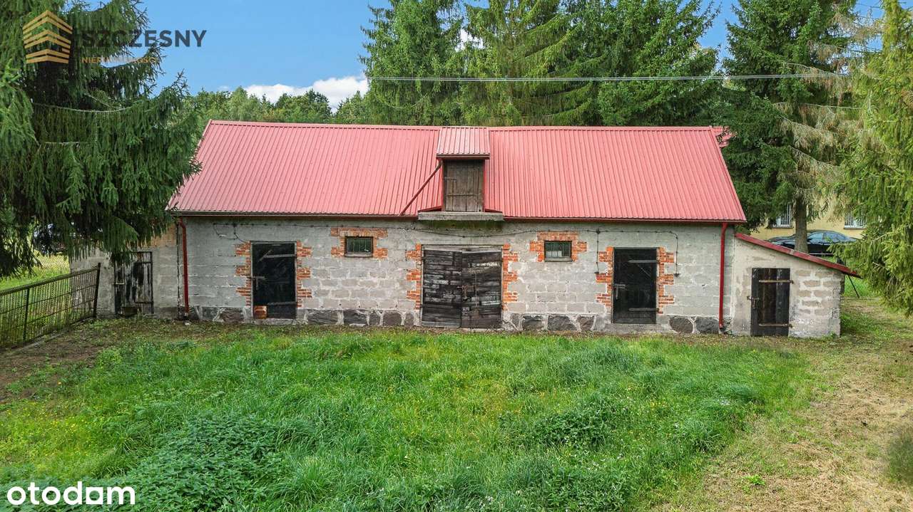 Siedlisko- dom mieszkalny, budynki gospodarcze,  MOGOWO obok NASIELSKA-15