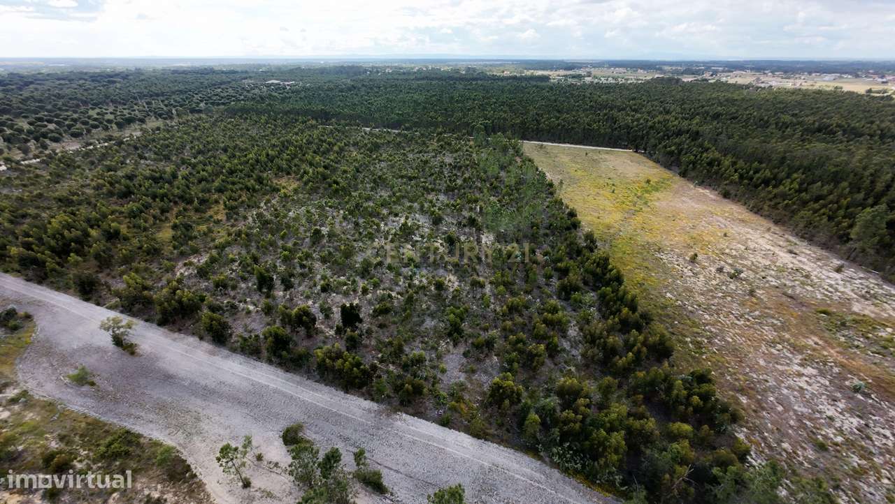 Magnifica Herdade Turística   em Santo Estêvão, Benavente-15
