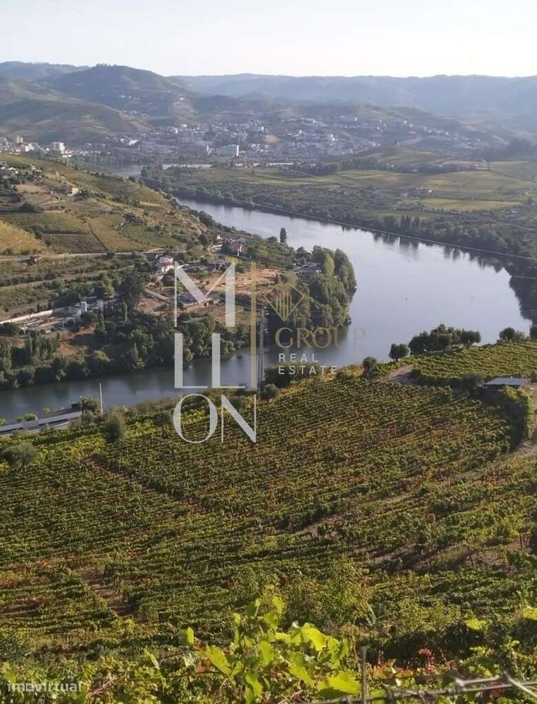 Quinta com 3 hectares e vistas desafogadas para o rio Douro-7