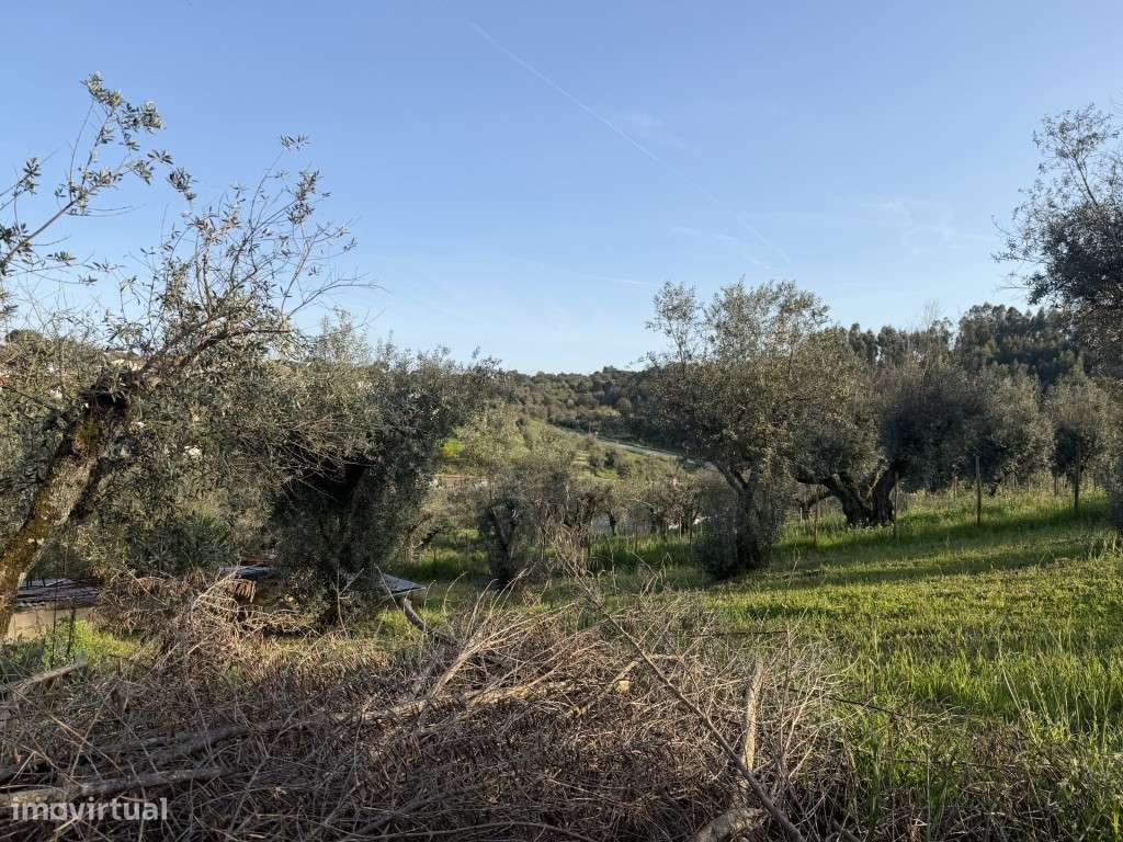 Moradia tipologia T2-10