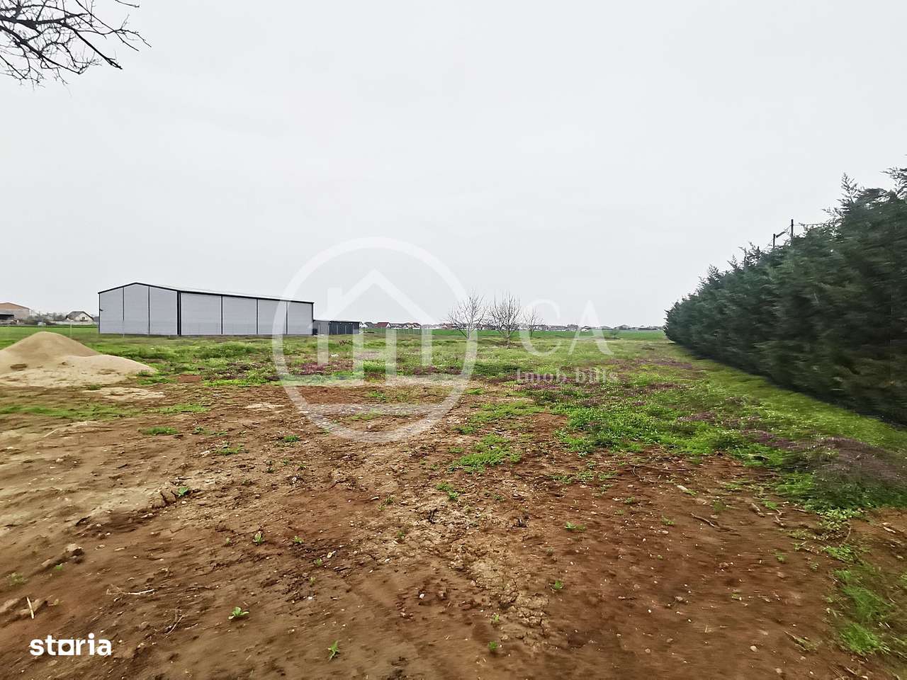 Teren intravilan de inchiriat in Santandrei, Bihor - Imagine principală: 3/5
