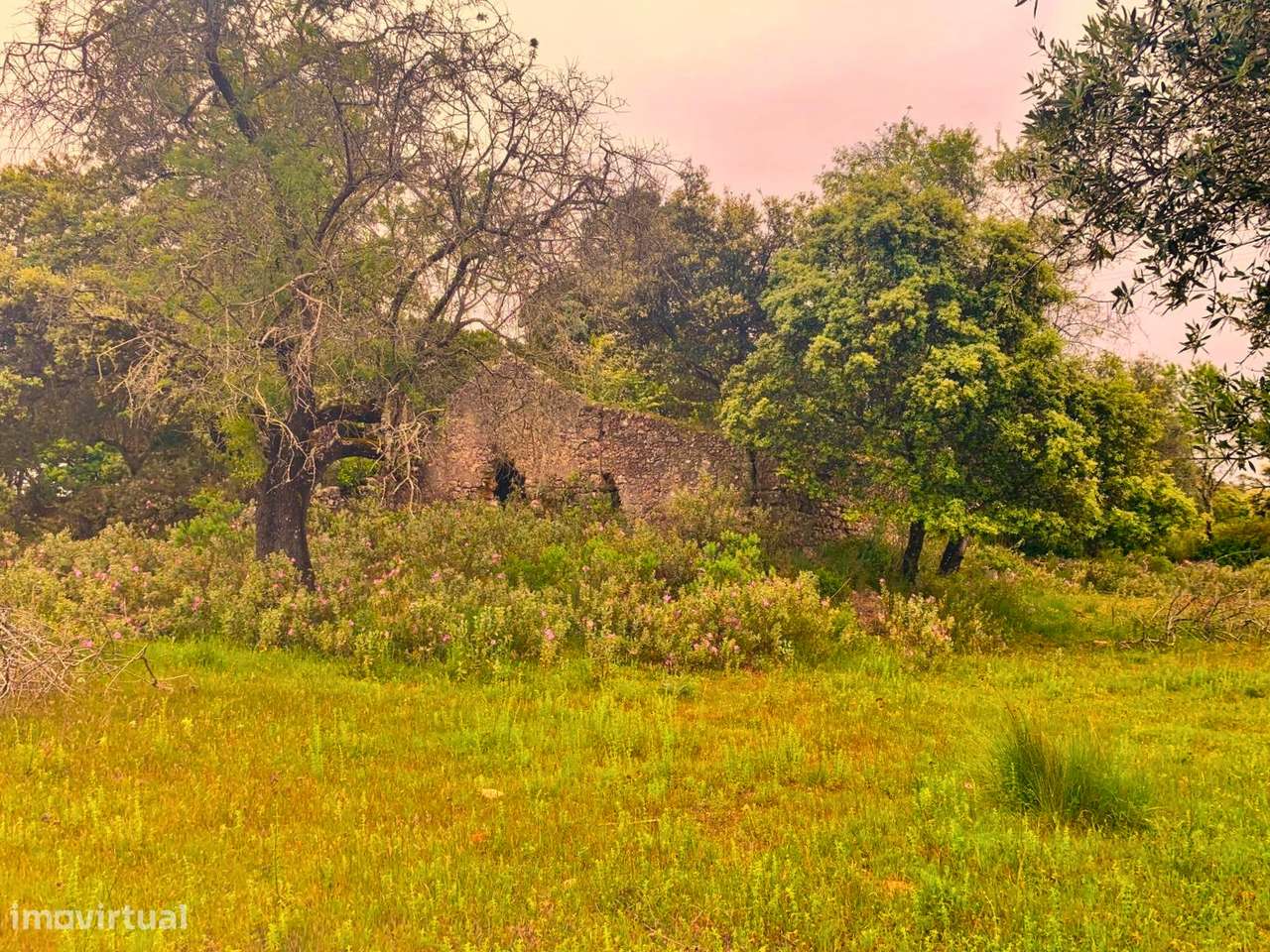 Moradia para Recuperar em Pernes - Grande imagem: 2/8