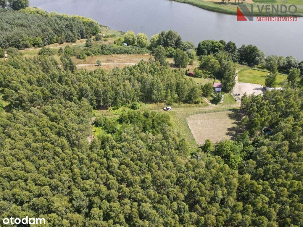 Gorzuchowo - działka przy jeziorze - Pełny obrazek: 4/8