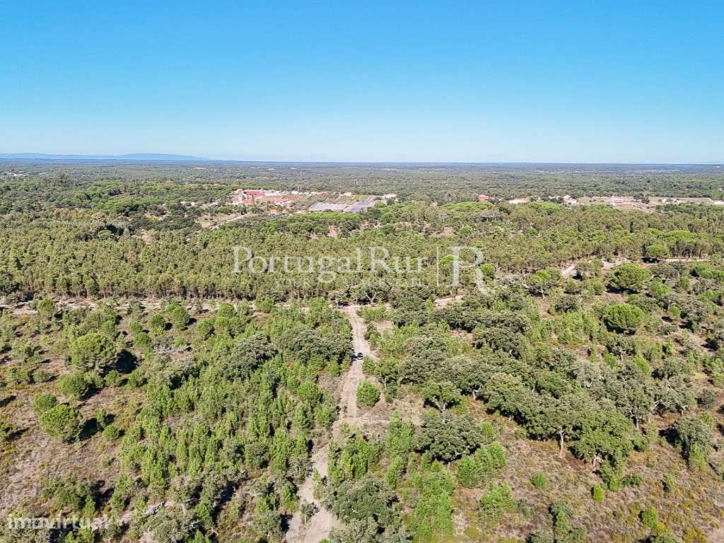 Quinta de 20ha com projeto para Turismo Rural a 1h de Lisboa-50