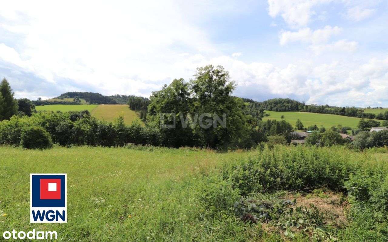Działka, 873 m², Leszna Górna - Pełny obrazek: 4/14