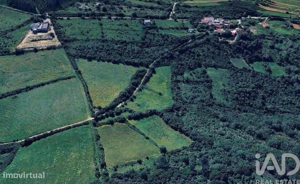 Terreno Agrícola em Igreja Nova e Cheleiros - Grande imagem: 2/11