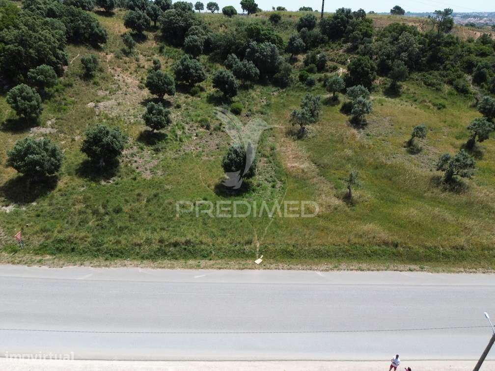 Terreno Rústico - Vila Moreira, Alcanena - Grande imagem: 4/21