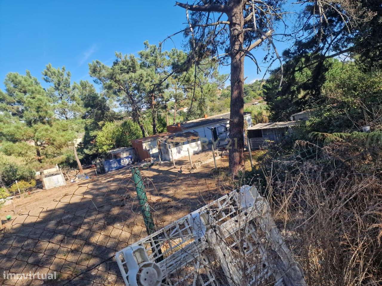 Terreno Rústico Quinta da Rosa - Grande imagem: 4/9