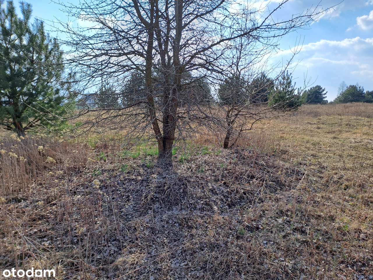 Działka w Dąbrówce przy ulicy Kościelnej-7