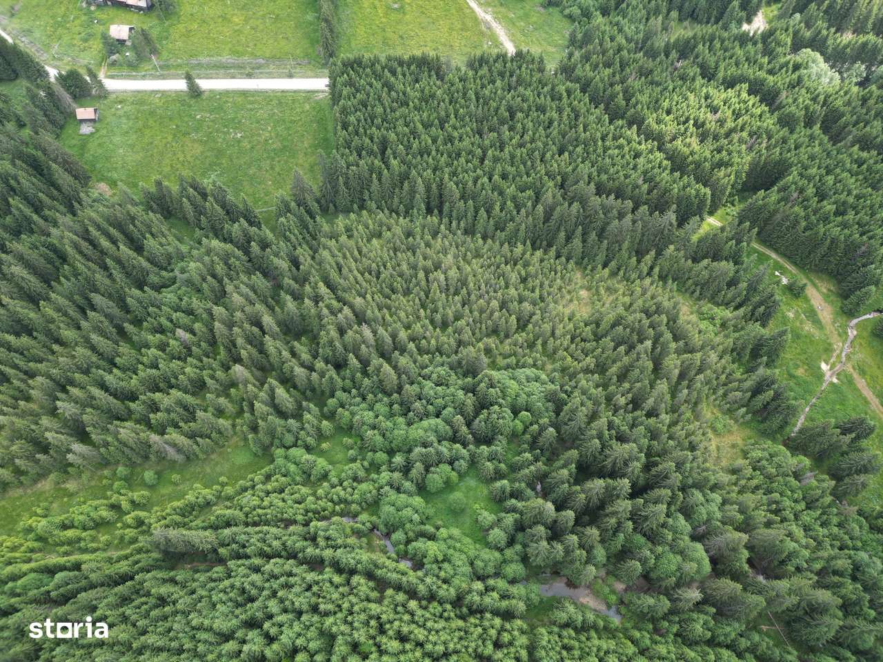 Teren extravilan 5000 MP Comandau-7
