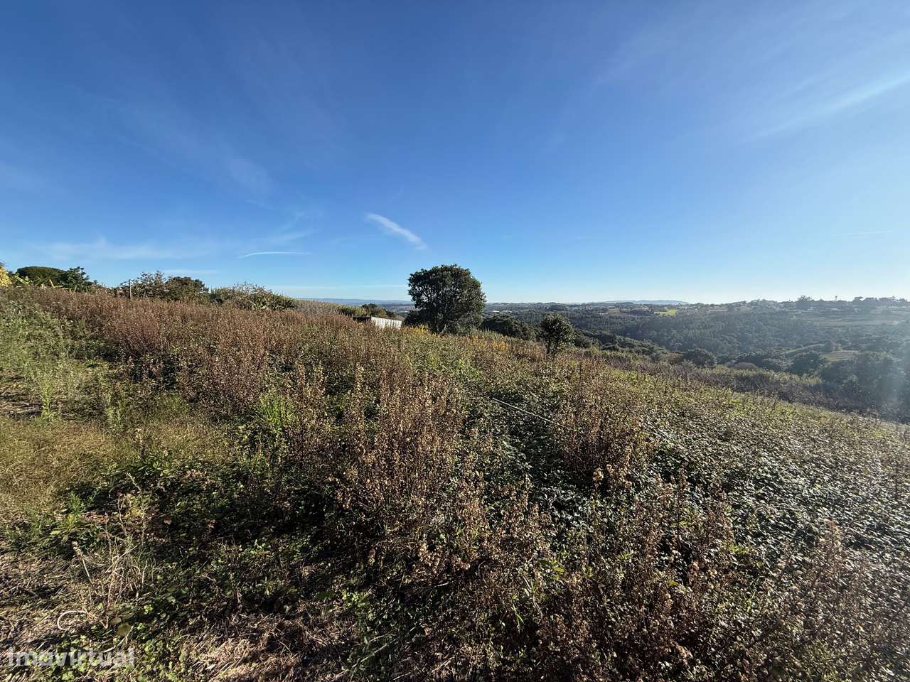 Terreno de 2.480m2 para construção - Usseira, Óbidos-13