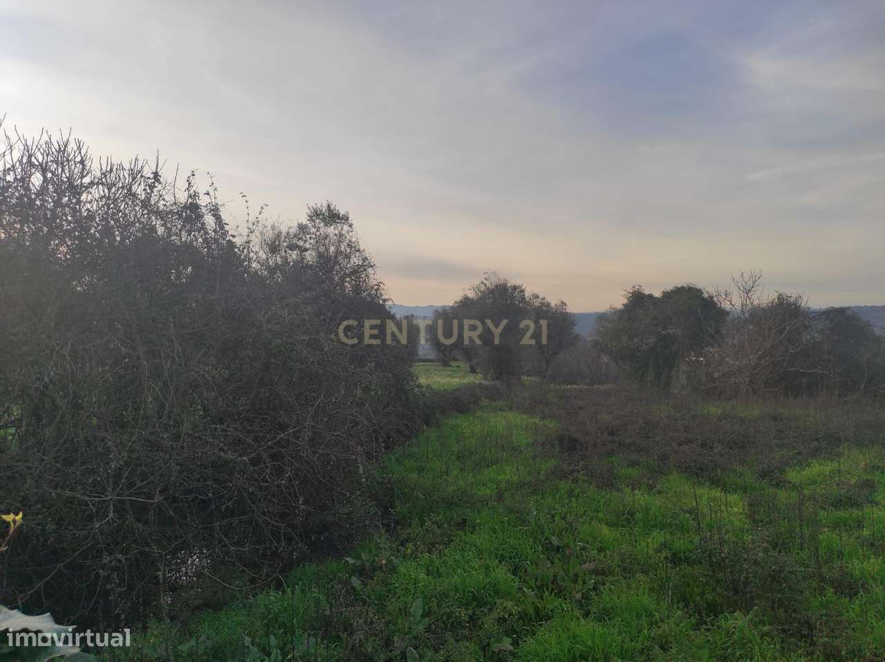 Terreno à venda em Silgueiros, Viseu - Grande imagem: 4/7