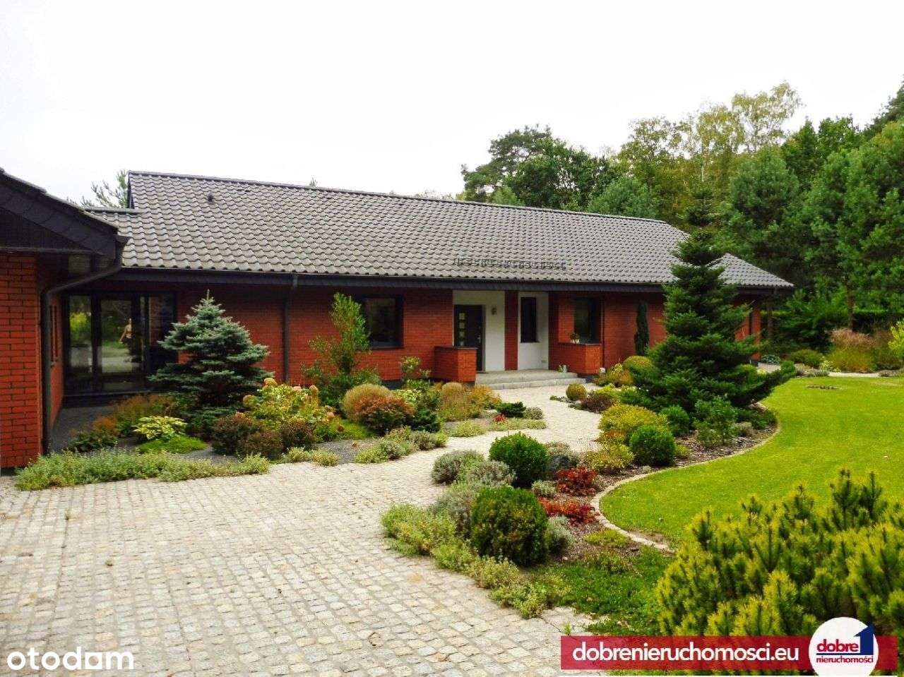 Dom, 245 m², Wilcze - Pełny obrazek: 4/18