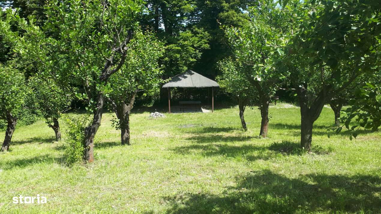 Teren extravilan  de vanzare | 4288 mp | in Gusterita - Imagine principală: 2/7