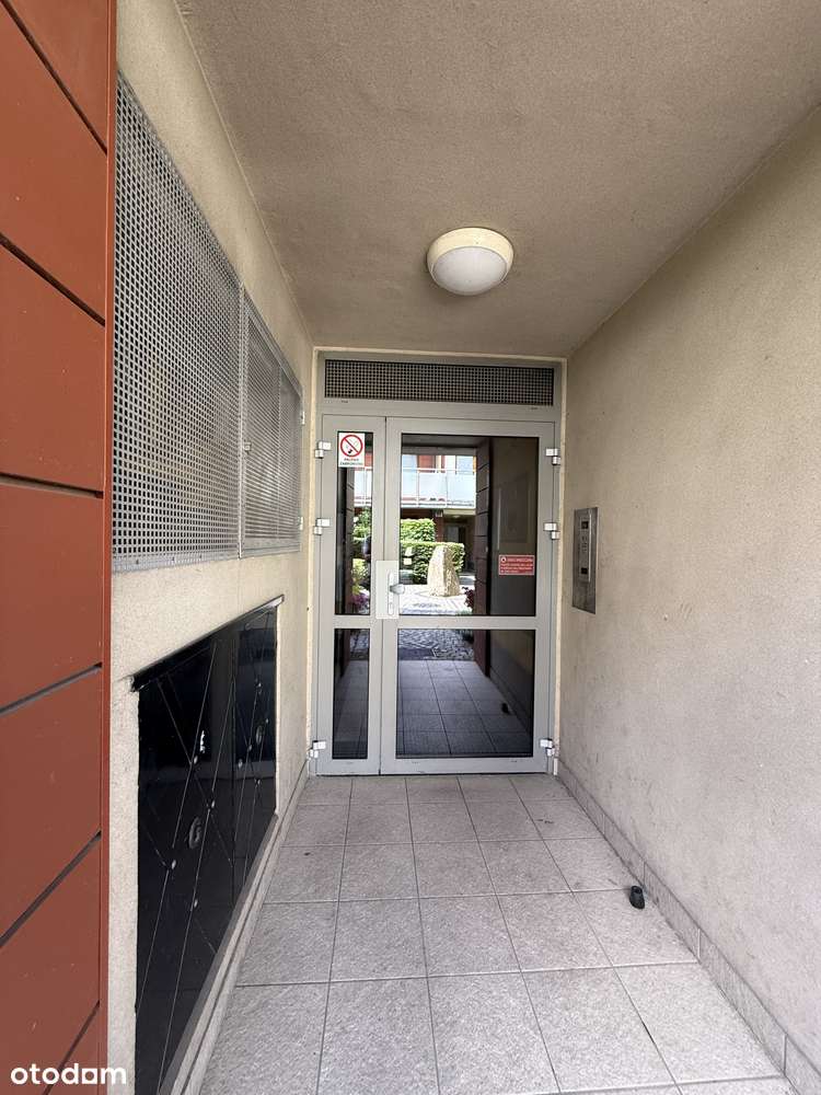 Duży Taras, Maślice przy lesie i zieleni-15