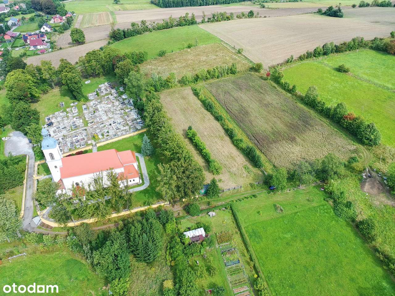 Działka rolna - rekreacyjna-5