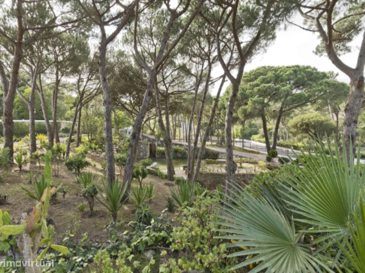 Vila de Luxo com piscina privada e amplo jardim, Cascais-8