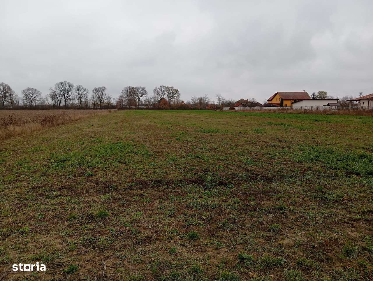 Teren de vânzare – 3 parcele intravilane la intrare în Mădăras-3