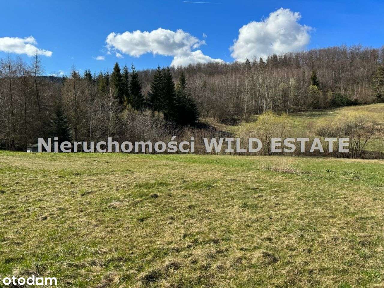 Działka, 10 031 m², Bukowsko - Pełny obrazek: 5/8