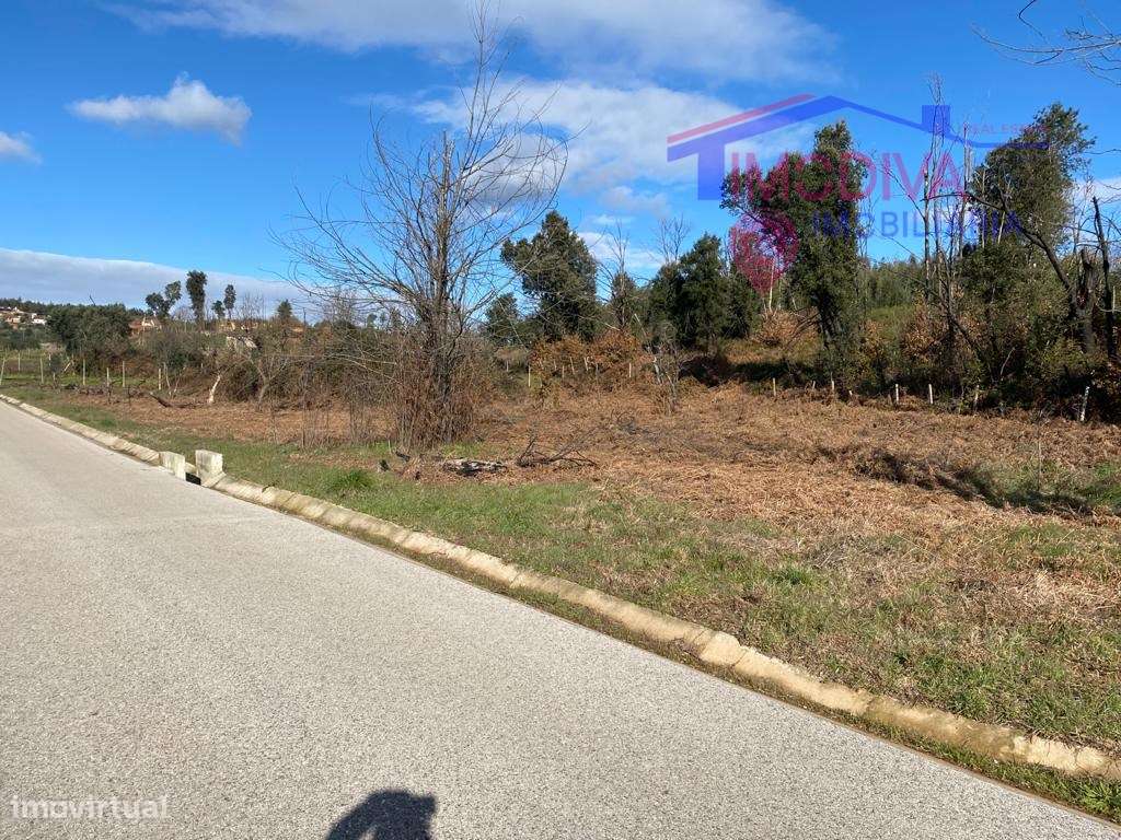 Terreno com 4700 m2 - Grande imagem: 2/8