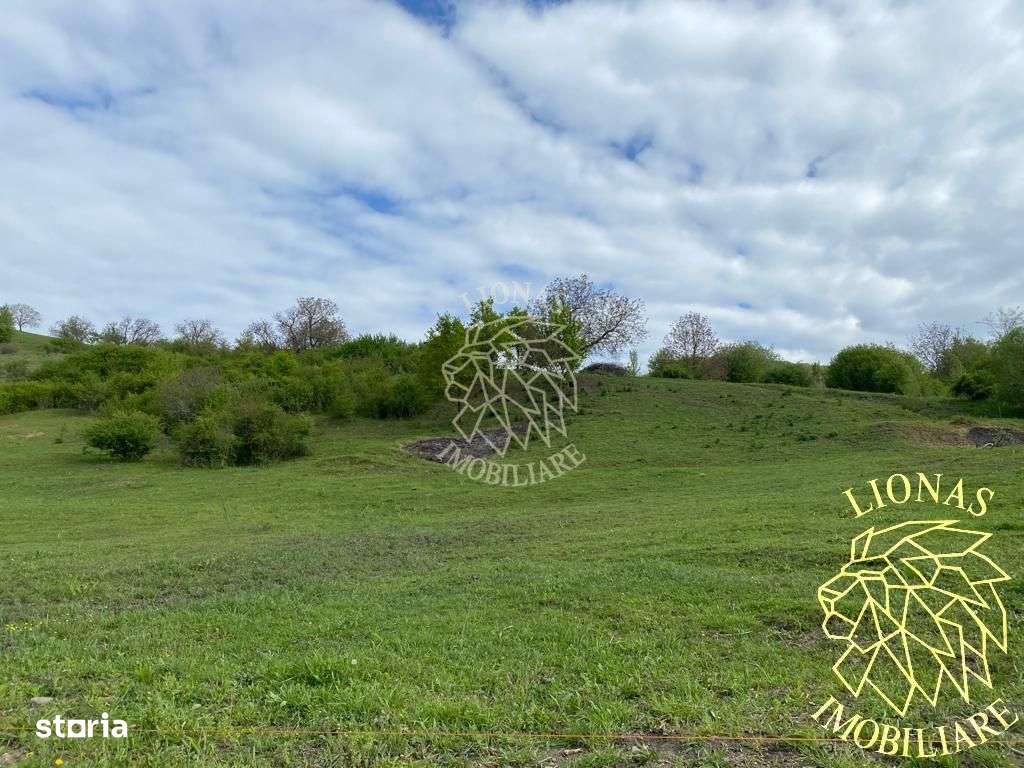 Teren Extravilan - Ghinda - 3.5000mp-Parcelabil - Imagine principală: 2/7