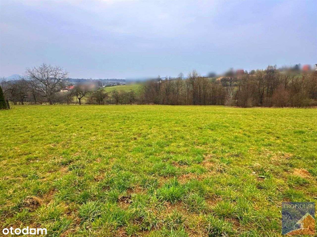 Działka, 1 000 m², Kostrza - Pełny obrazek: 4/5