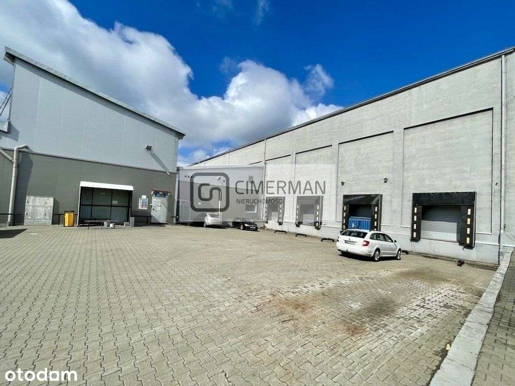 Hala magazynowo produkcyjna 4200 m2 lub 2000 m2 - Pełny obrazek: 5/17