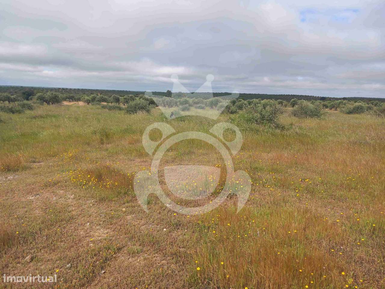 Terreno Rústico com ruína - 3Ha-4