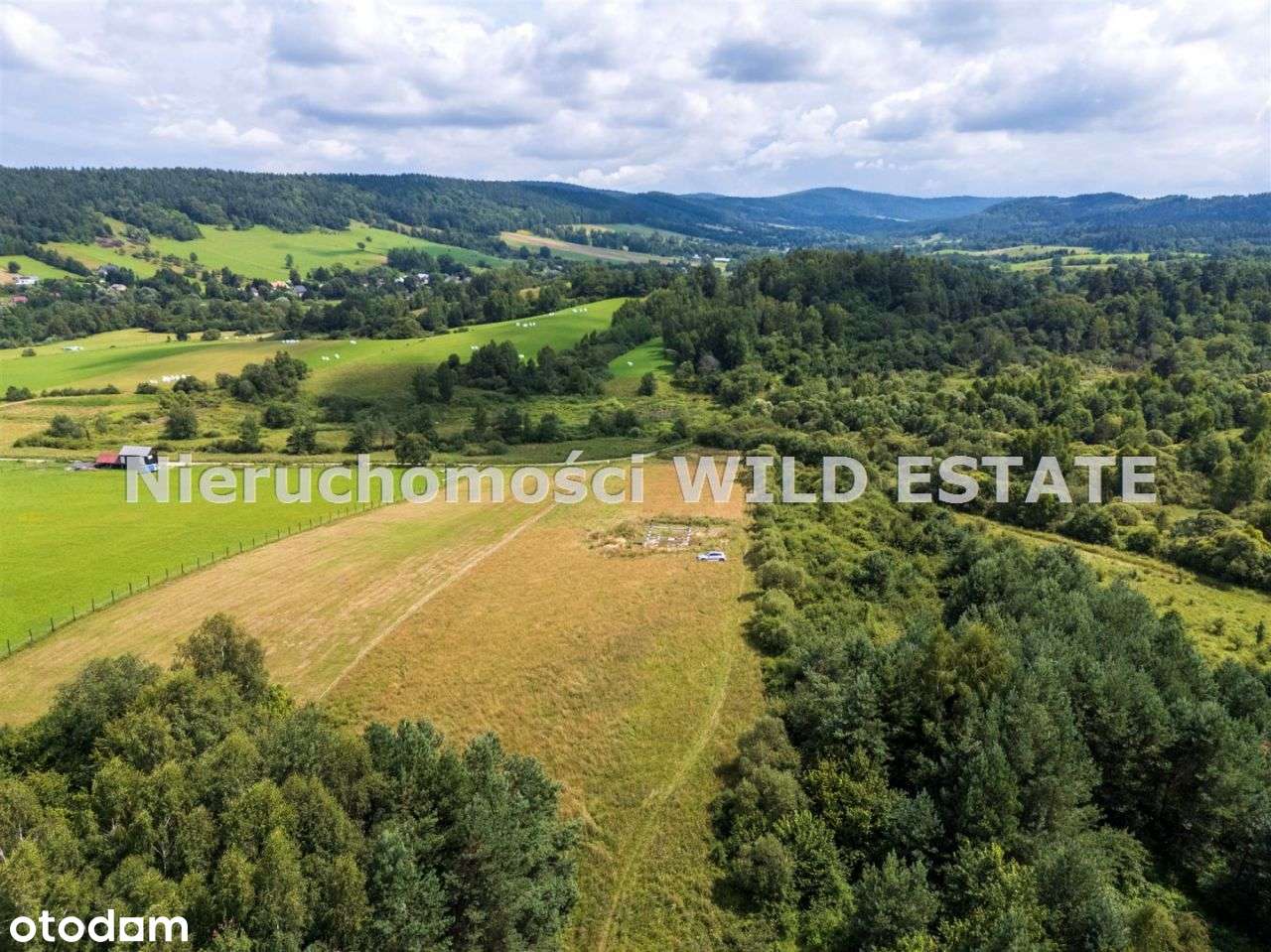 Działka, 10 416 m², Ustrzyki Dolne - Pełny obrazek: 4/7