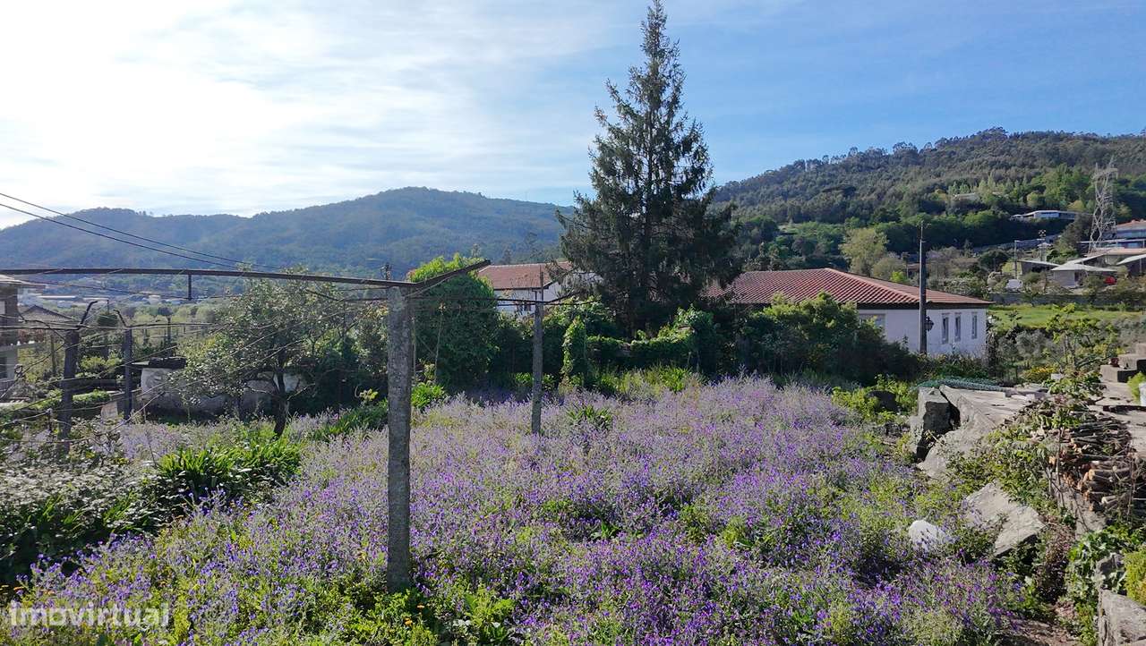 Ruína com Terreno Urbano de 600 m² em Longos – a 10 min de Braga-6