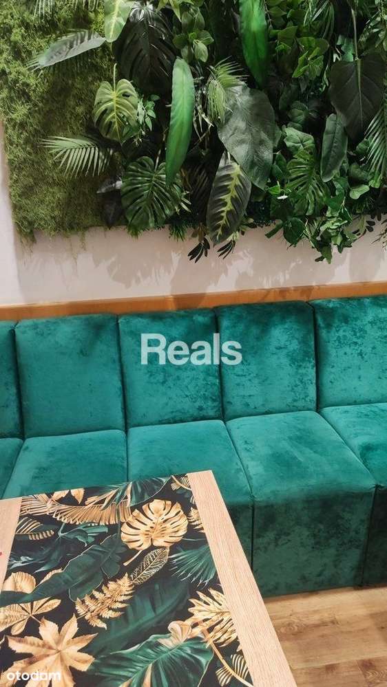 Kompletny koncept gastronomiczny-włoska pizzeria - Pełny obrazek: 2/4