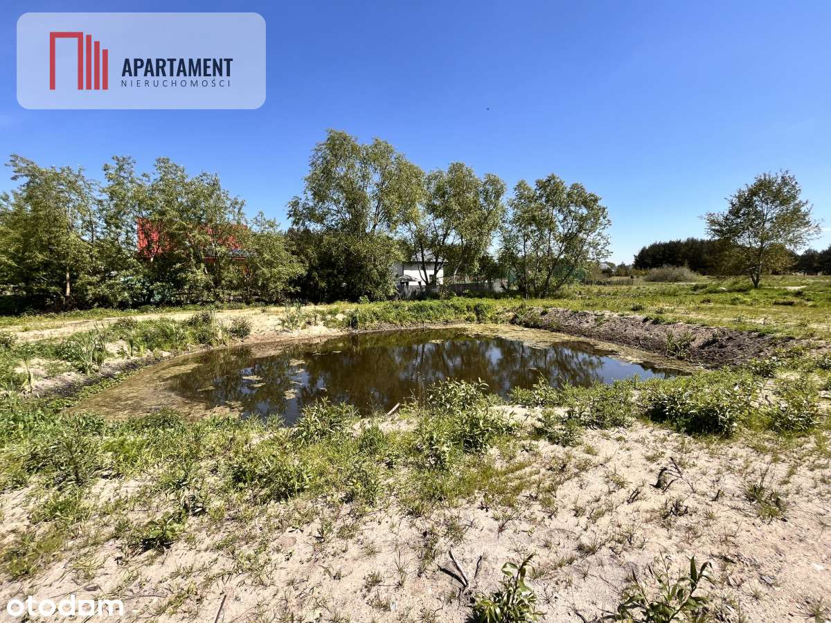 Działka 3000m2 ze stawem! Zabagno, 3km od A1 - Pełny obrazek: 5/11